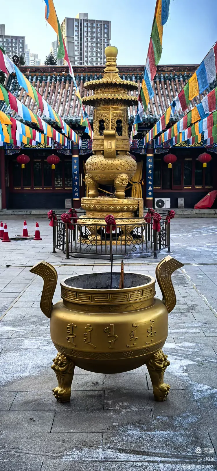 沈阳皇寺游
